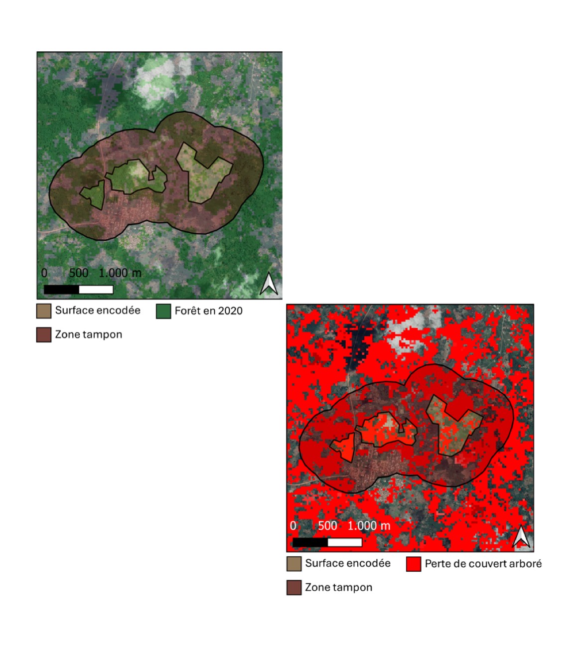 Photo illustrant la fonctionnalité suivante: Analyse de la déforestation